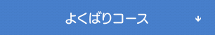 よくばりコース